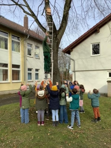 Fledermauskästen an unserer Schule